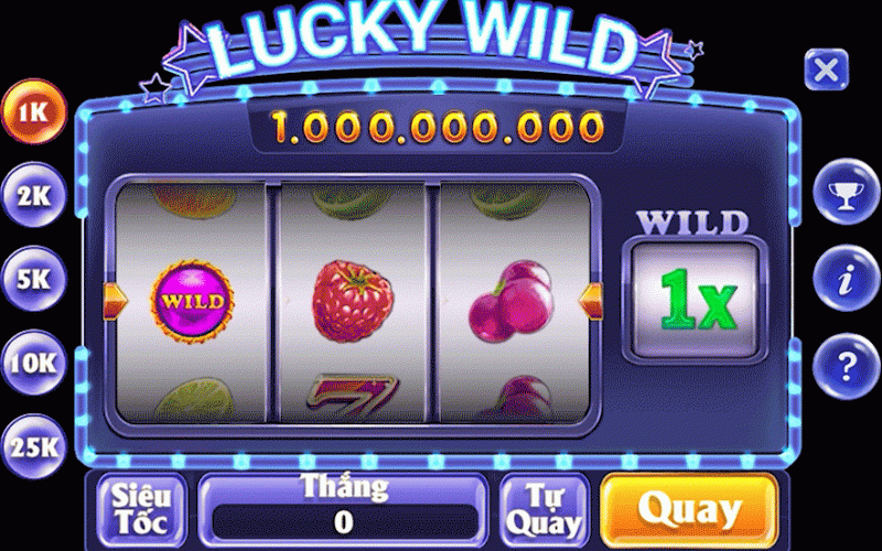 gif-wild-finish-884x568